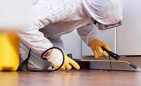 Best Emergency Pest Control  in Verona Walk, FL